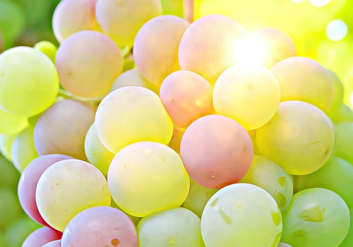grapes